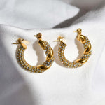 ALEX HOOPS