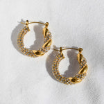 ALEX HOOPS