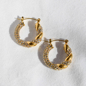 ALEX HOOPS