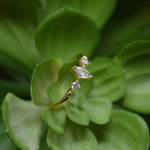 anillo con zirconia, anillo de zirconias, anillo ajustable con zirconias, anillos de baño de oro, joyeria de moda, joyeria mexicana, anillo plata, anillo lata 925, joyeria plata 
