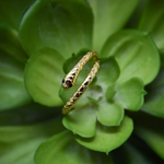 anillo con zirconia, anillo de zirconias, anillo ajustable con zirconias, anillos de baño de oro, joyeria de moda, joyeria mexicana, anillo plata, anillo lata 925, joyeria plata 