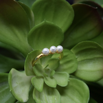 anillo de perlas, anillo ajustable con perillas, anillos de baño de oro, joyeria de moda, joyeria mexicana